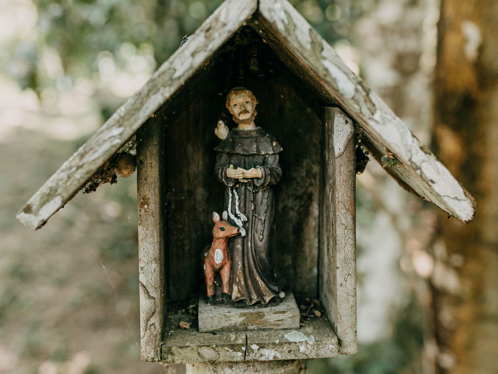 Foto Onde Casar em Santa Catarina | Quinta Borba | ItajaàFoto Onde Casar em Santa Catarina | Quinta Borba | Itajaà- Imagem 20